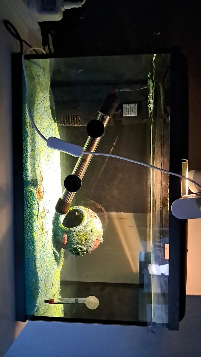 70 litre fish tank - Image 3