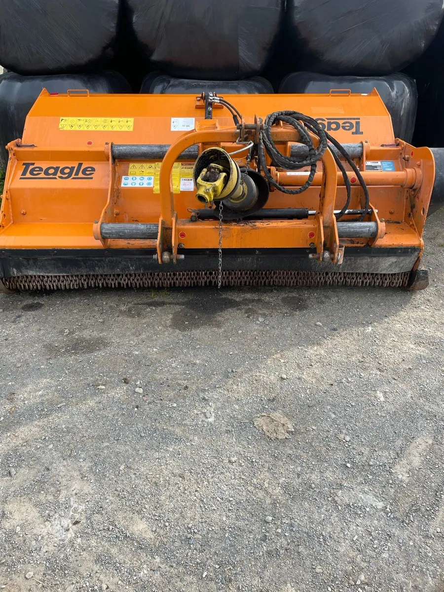 Teagle 250 mulcher - Image 2
