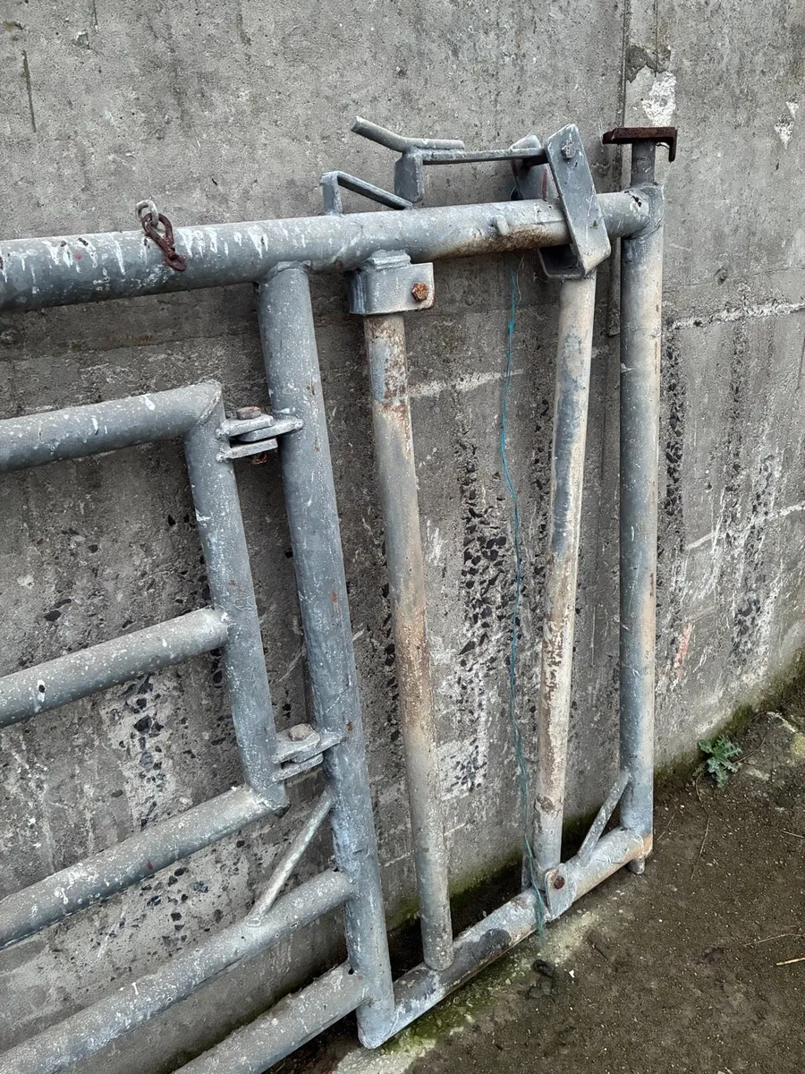 Calving Gate - Heavy Duty - Image 2