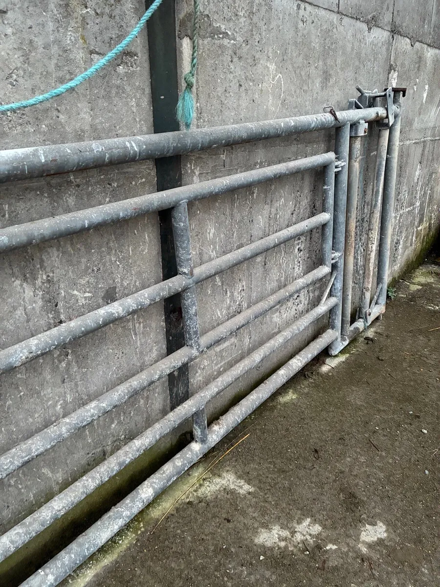Calving Gate - Heavy Duty - Image 3