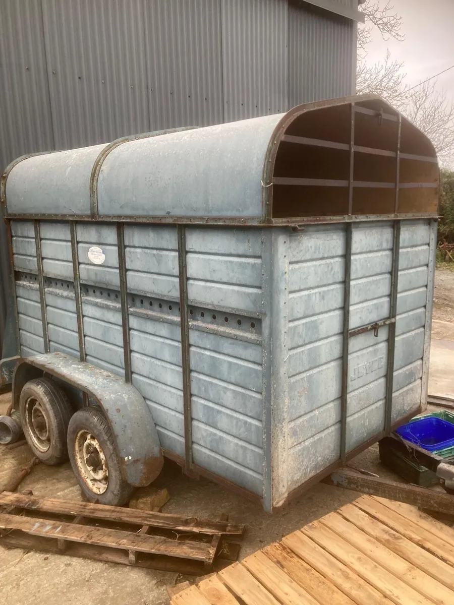 Joyce Cattle box - Image 2