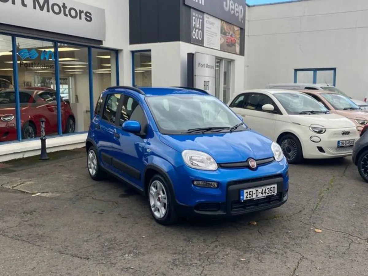 Fiat Panda 1.0 Mhev - Image 4