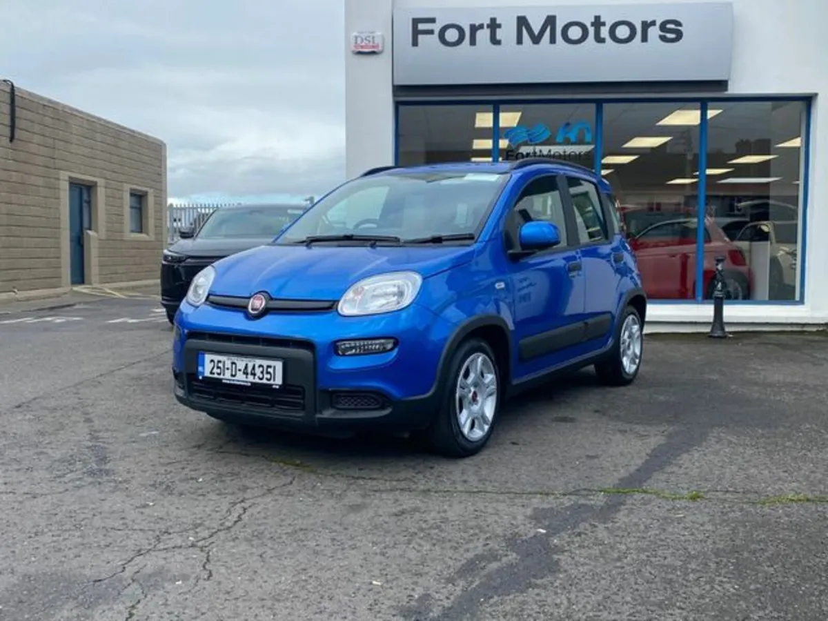 Fiat Panda 1.0 Mhev - Image 1