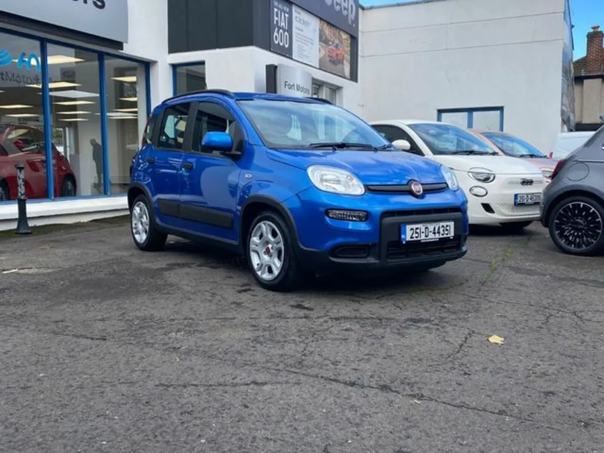 Fiat Panda 1.0 Mhev - Image 4