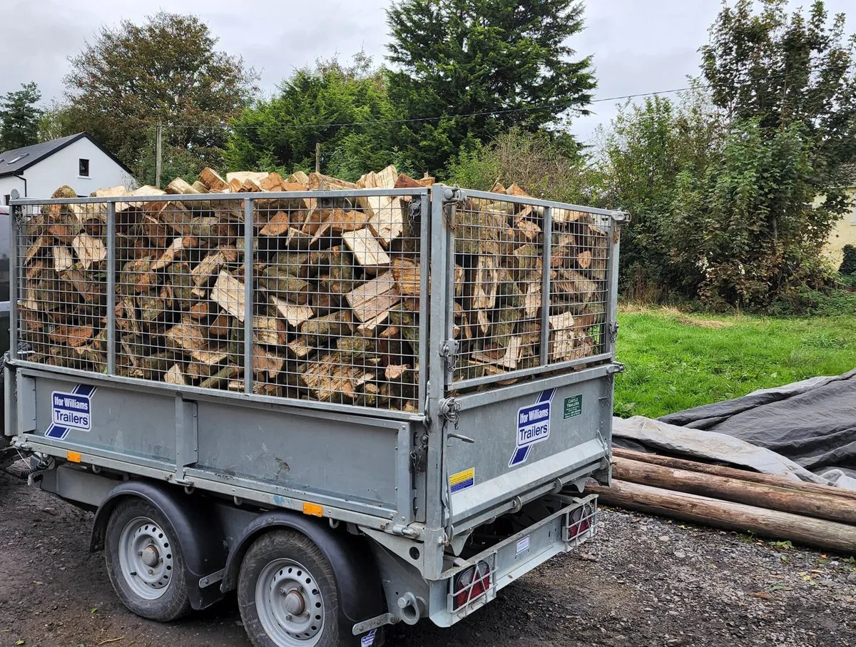 🔥 ASH FIREWOOD 🔥 - Image 1