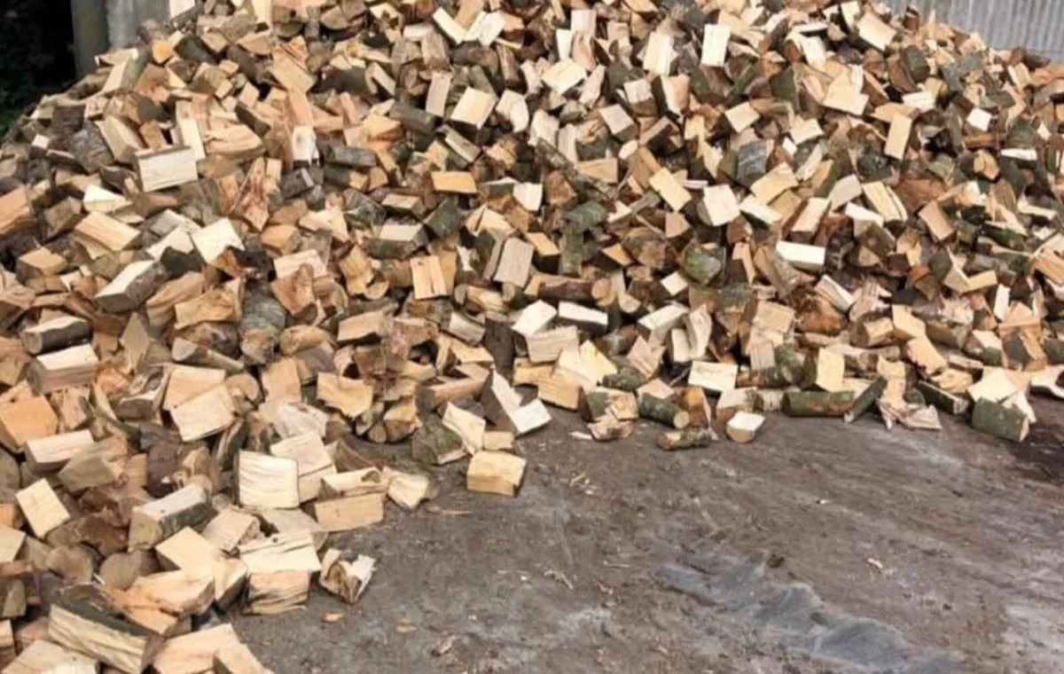 🔥 ASH FIREWOOD 🔥 - Image 3