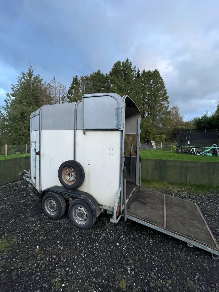 Horse box - Image 3