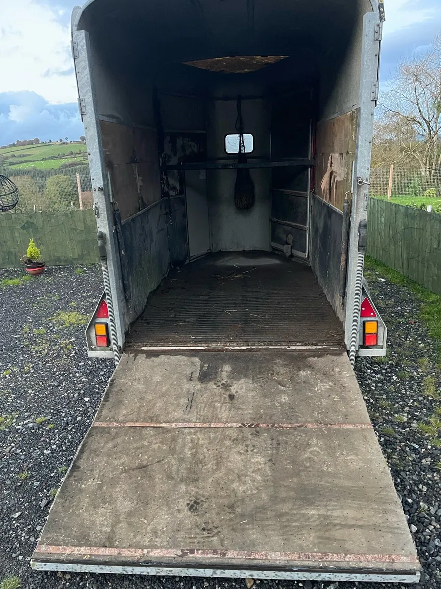 Horse box - Image 4