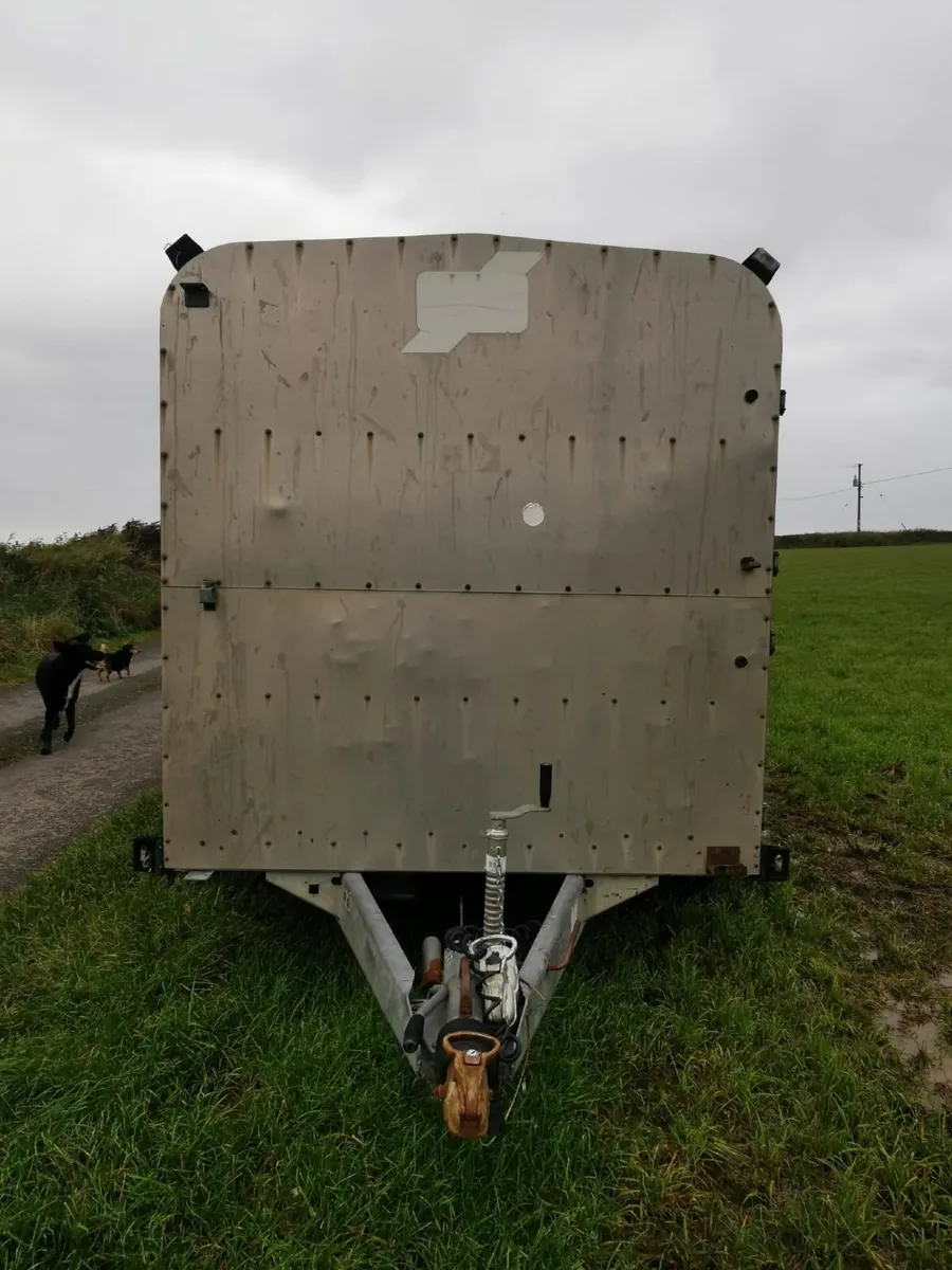 Ifor Williams 10 X 6 Cattle Trailer - Image 4