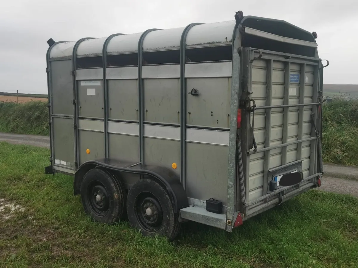Ifor Williams 10 X 6 Cattle Trailer - Image 1