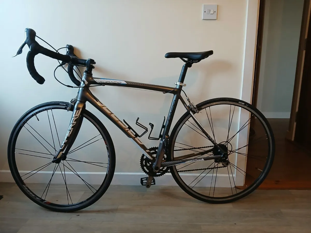 Road Bikes - Image 1