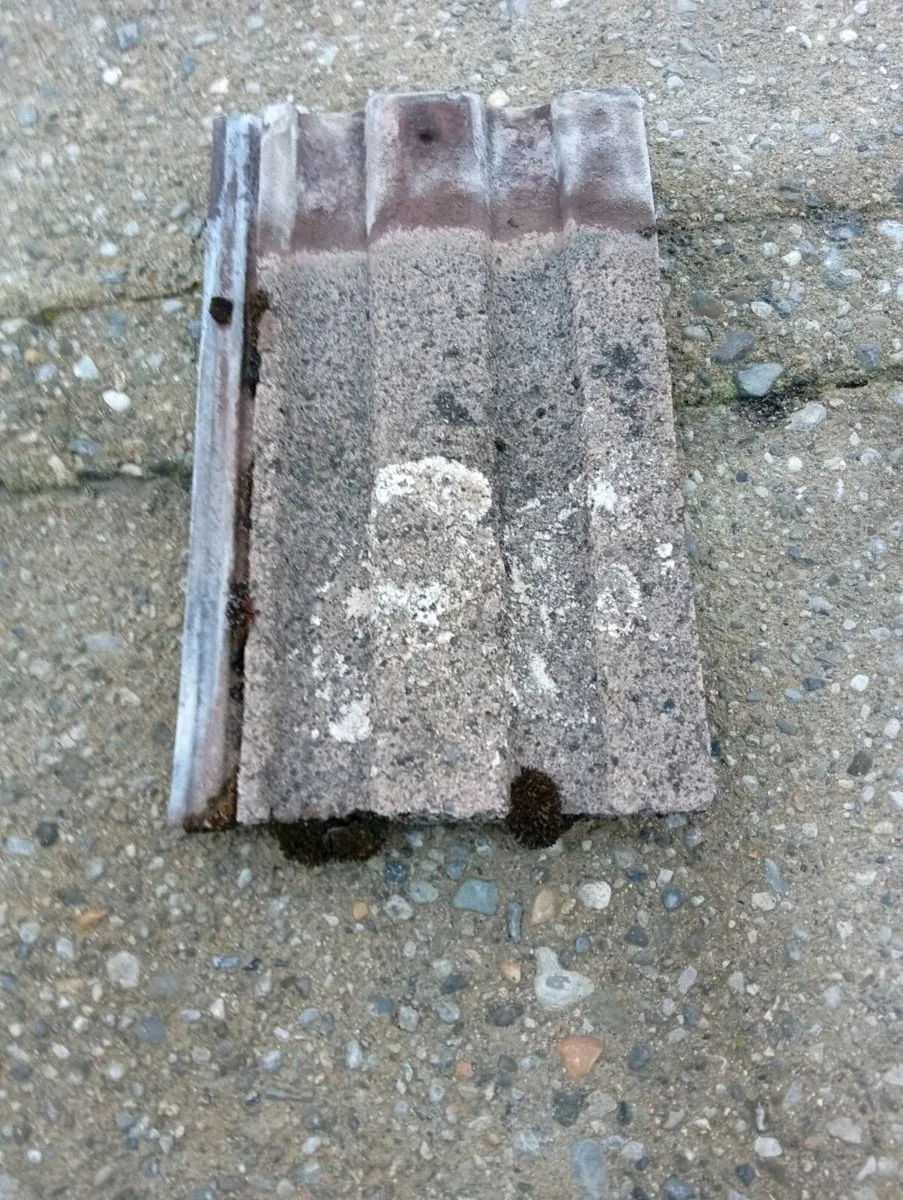 Bantile roof tiles - Image 4