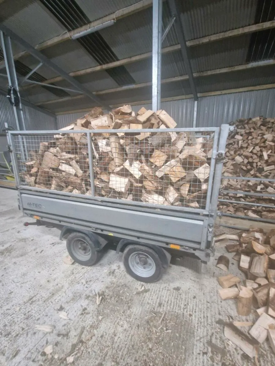 Firewood - Image 1