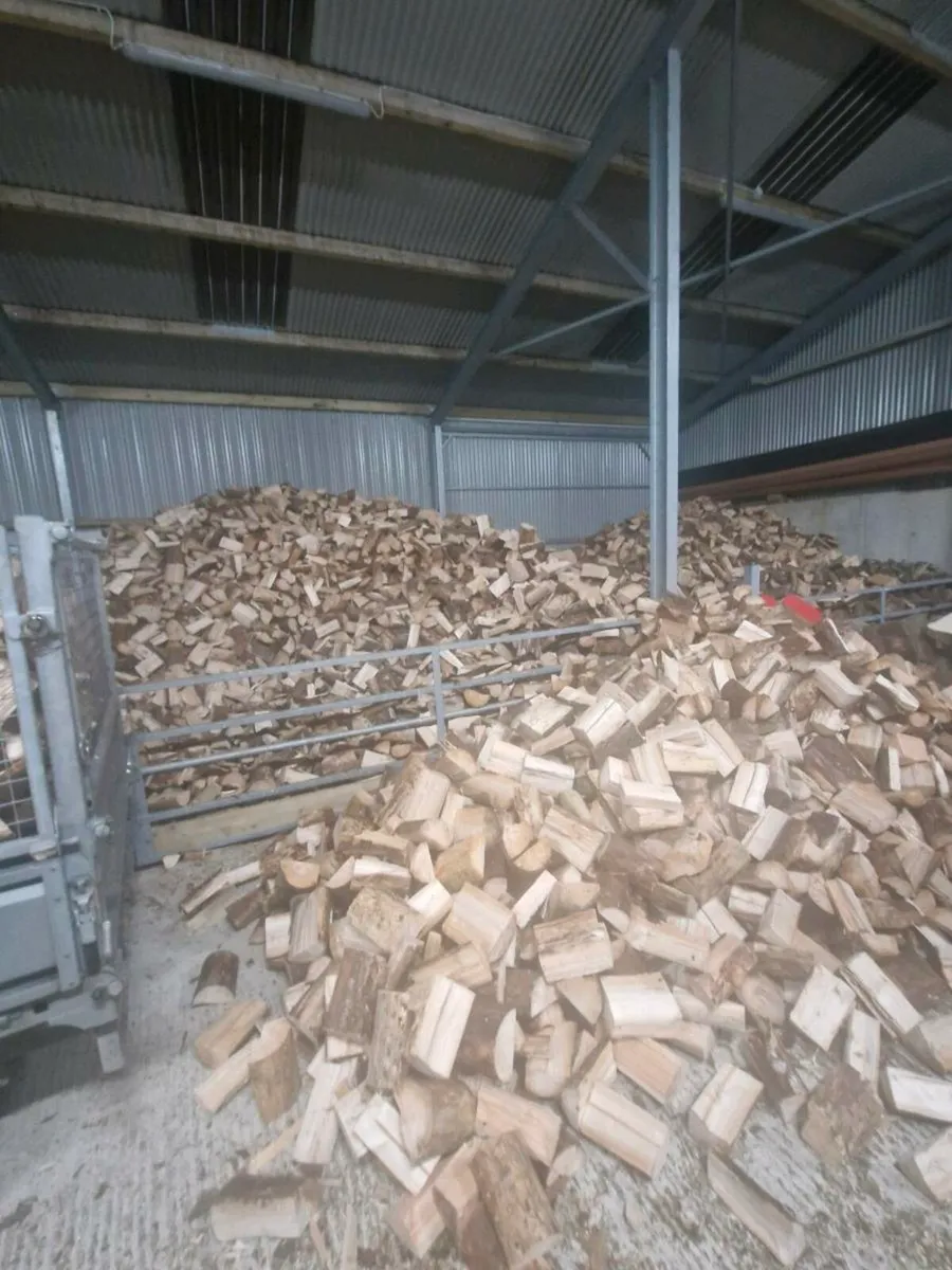Firewood - Image 2