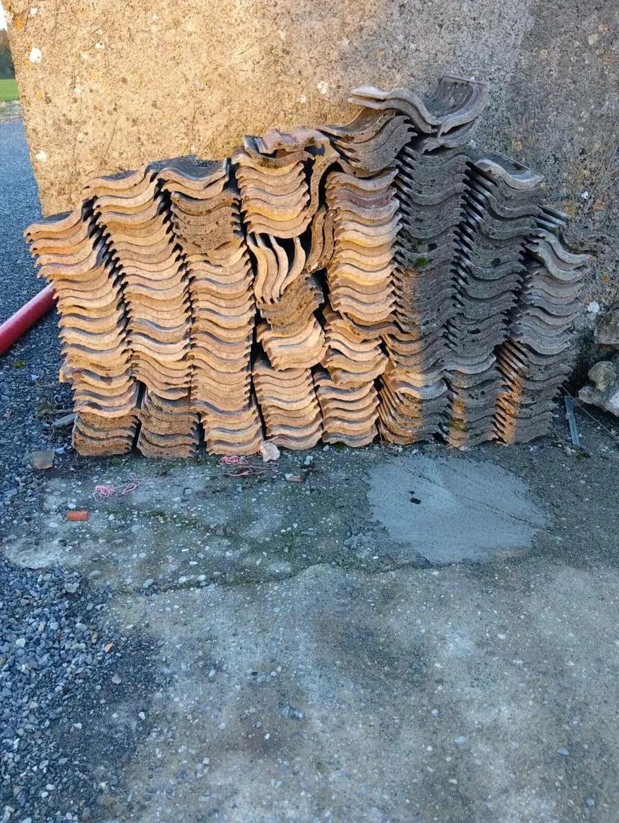 Roman style roof tiles - Image 1