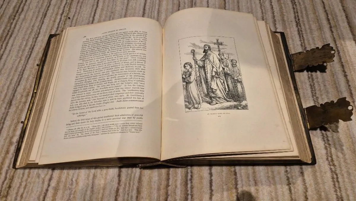 A History of The Irish Nation by M F Cusack - Image 4