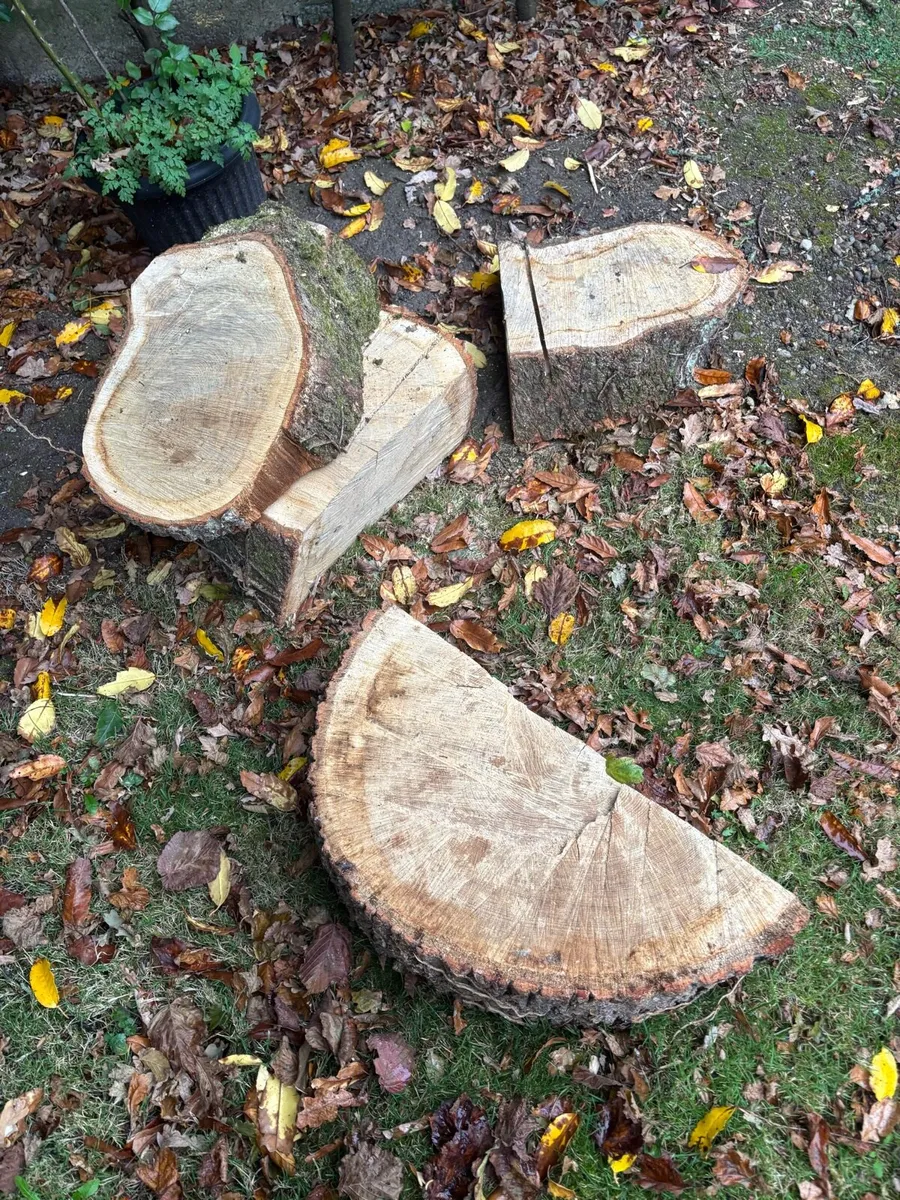 💥Firewood-Mature Oak💥 - Image 2