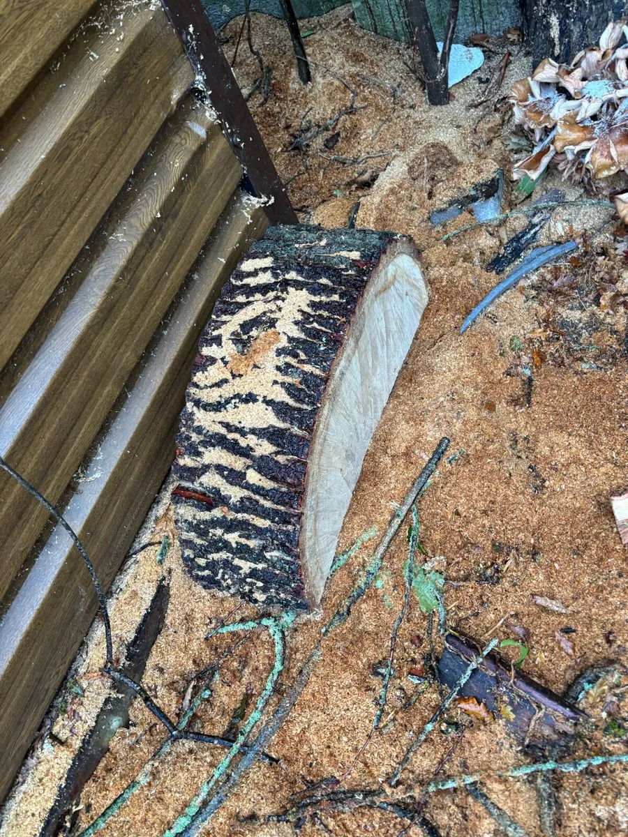 💥Firewood-Mature Oak💥 - Image 3