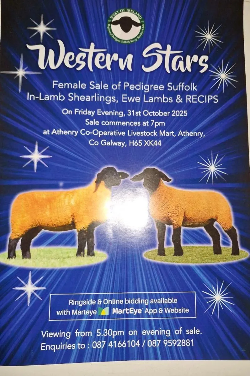 Suffolk sale 31st October