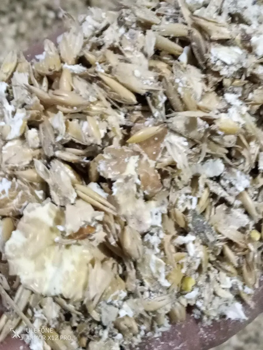Organic meal  feed and ration - Image 1