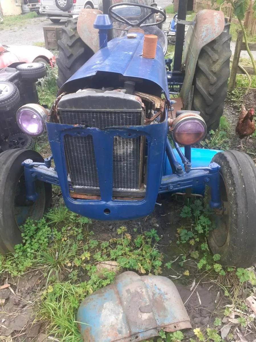Fordson dexter - Image 2