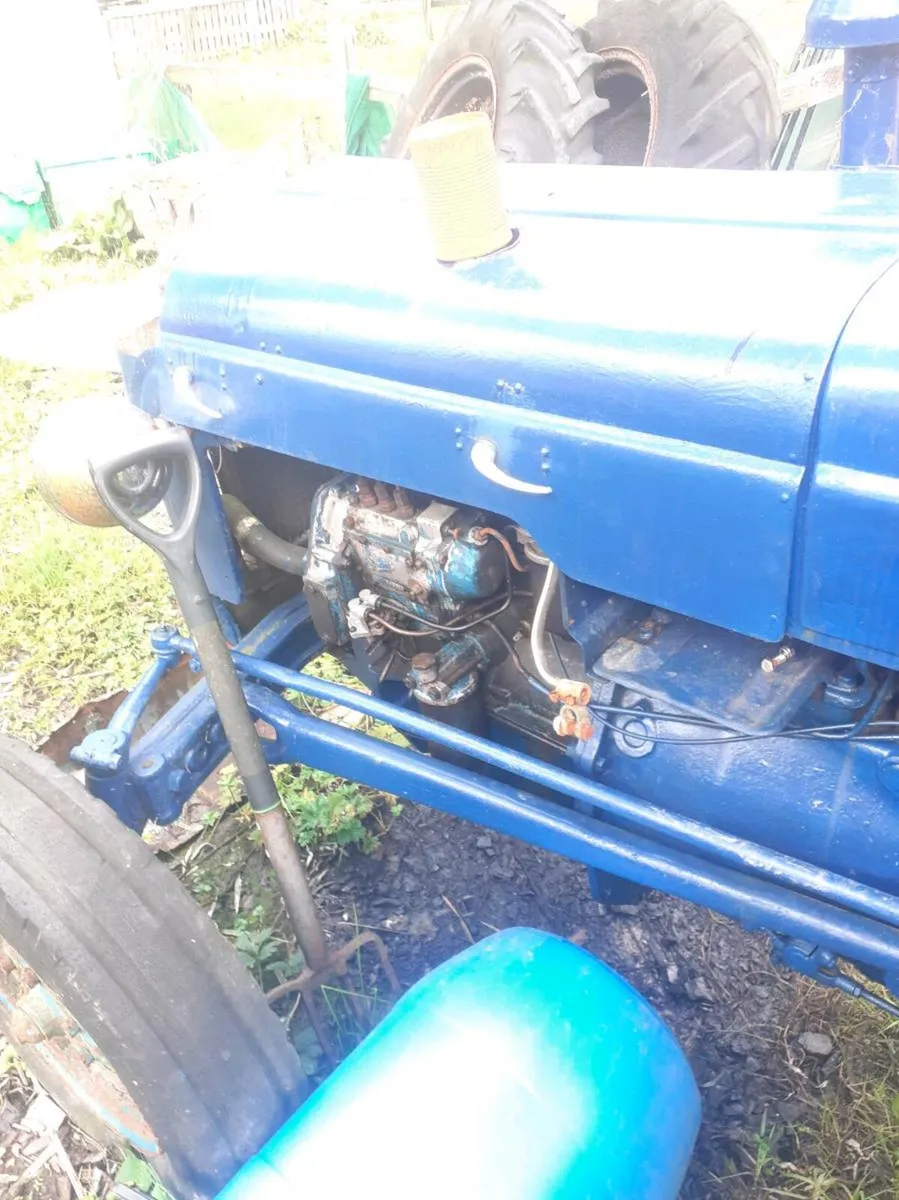 Fordson dexter - Image 3