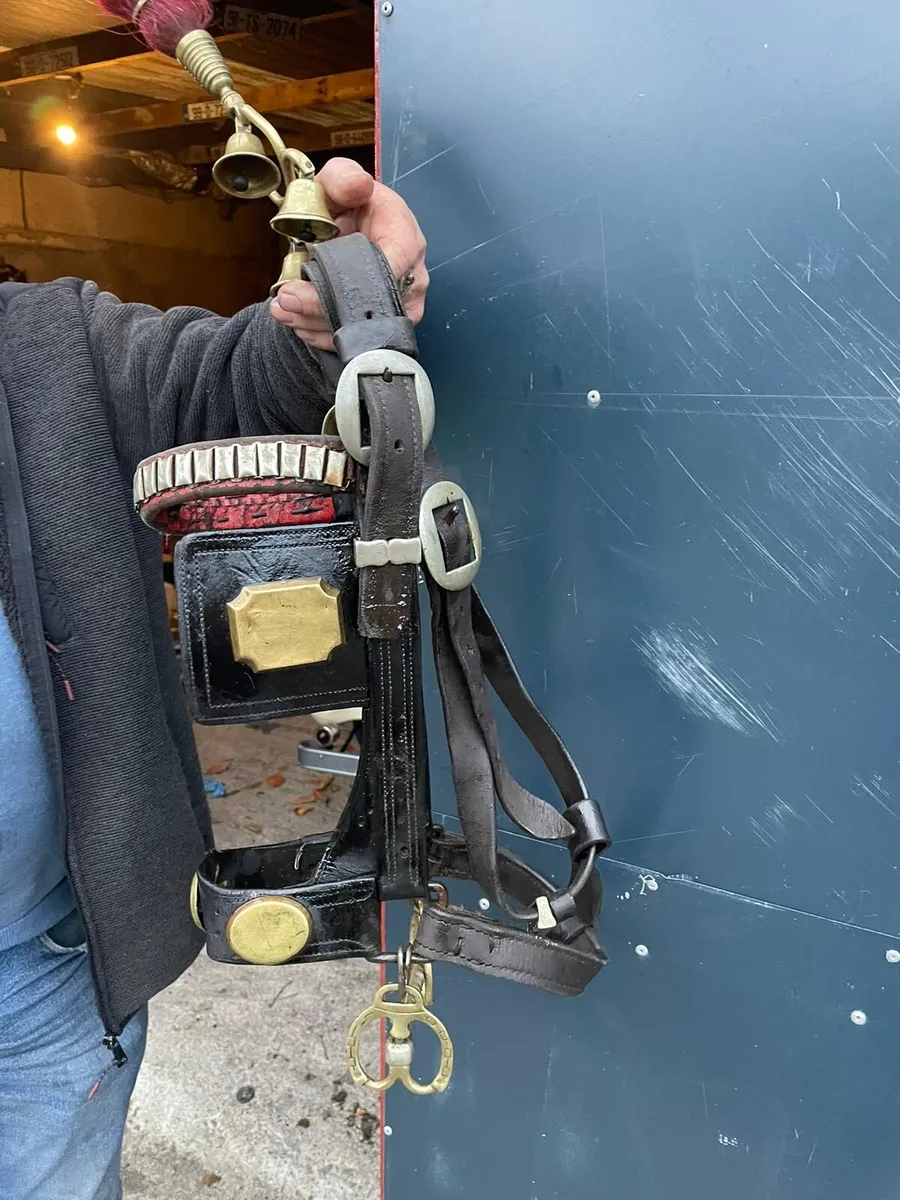 Harness for sale - Image 1
