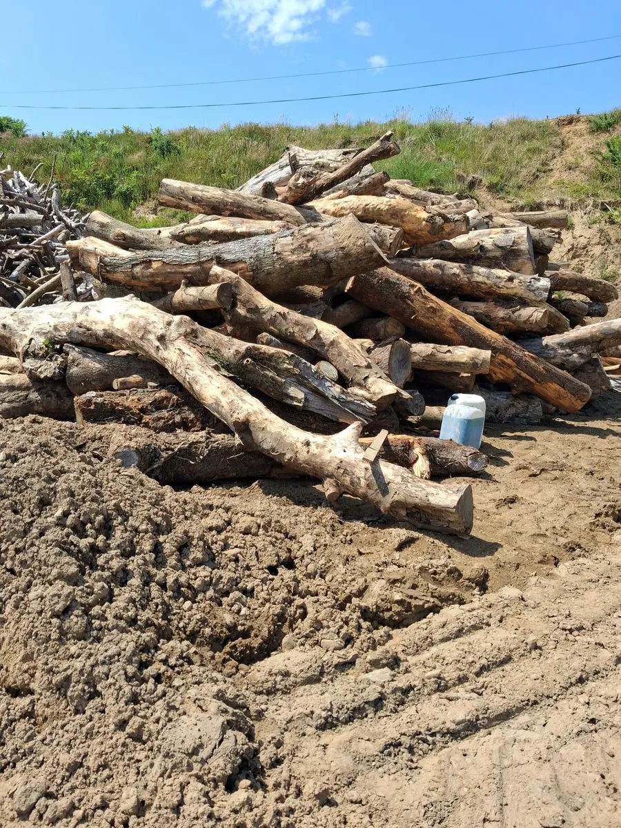Firewood - Image 2