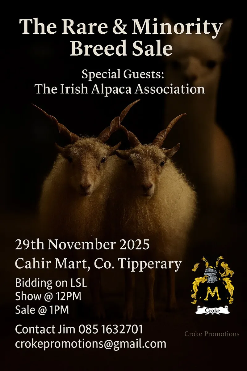 The Rare & Minority Breed Sale