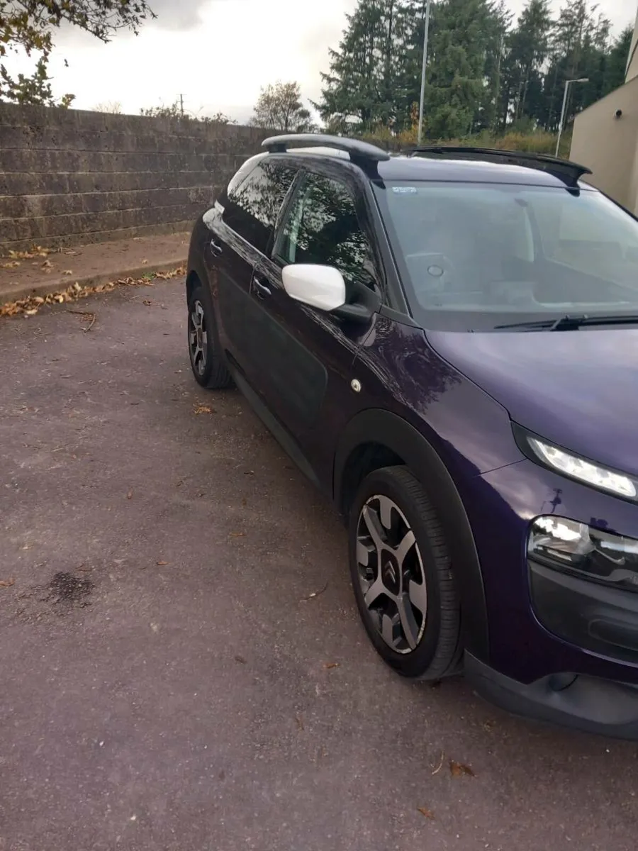 2018 Citreon C4 Cactus 1.2 - Image 3