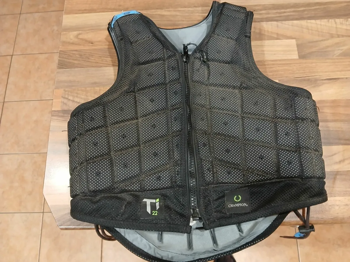 Champion Back protector - Image 1