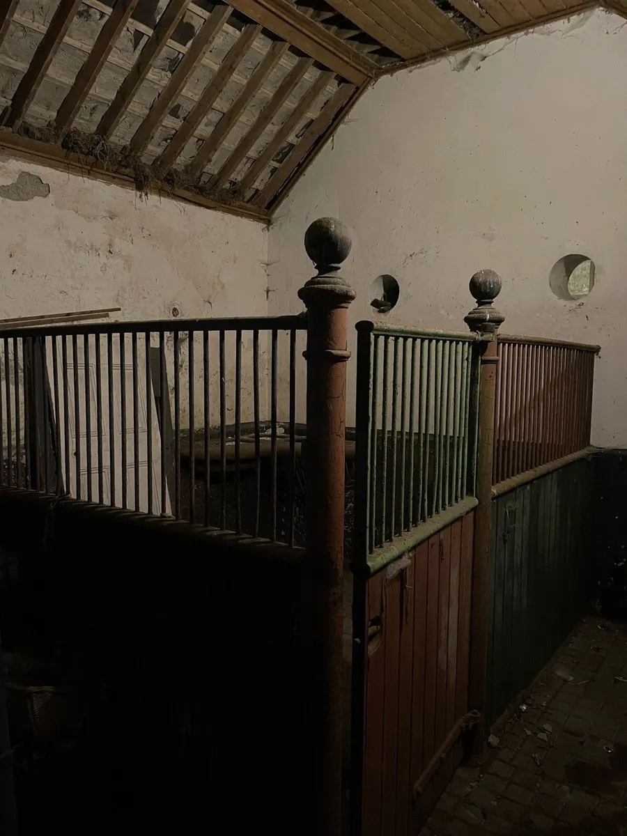 Stable traditional wrought iron with enamel drinke - Image 1