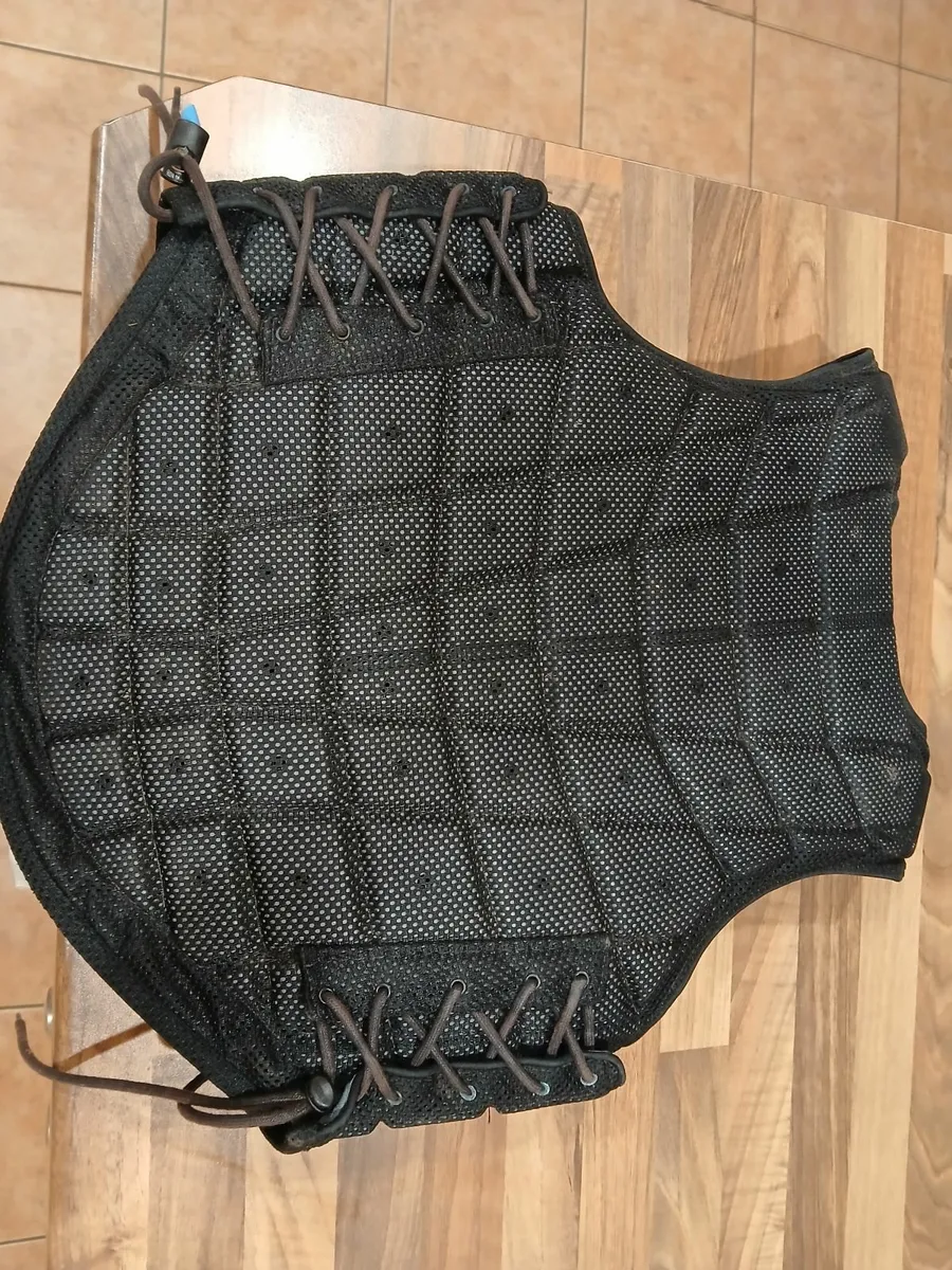 Champion Back protector - Image 2