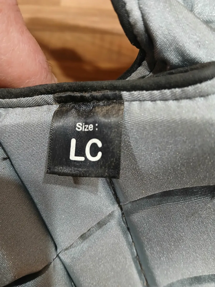 Champion Back protector - Image 4