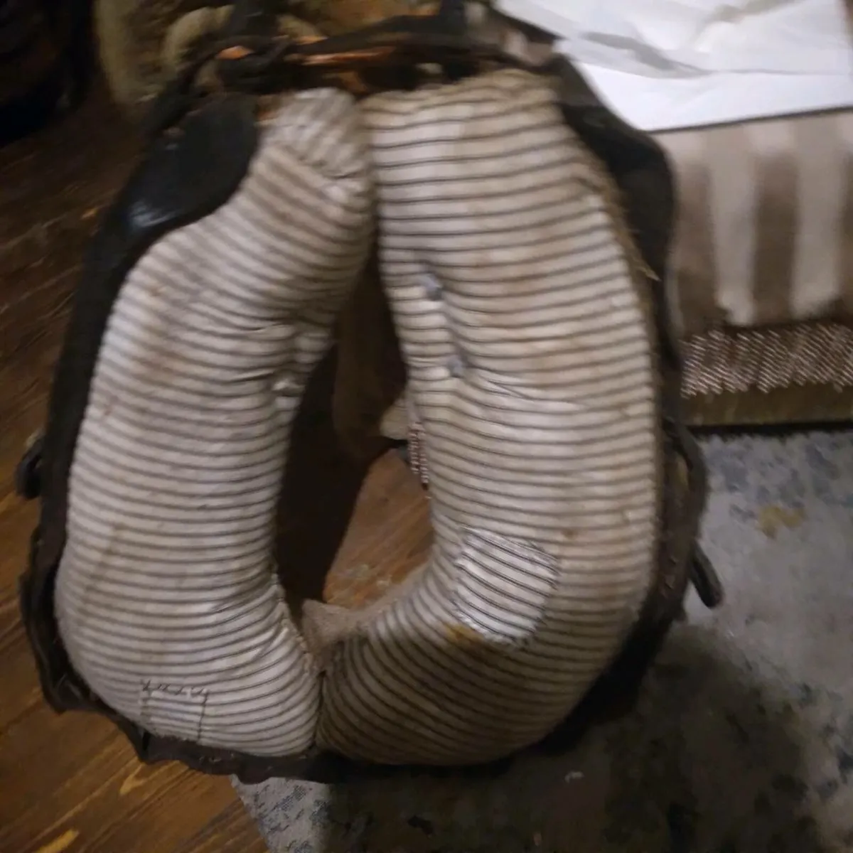 Common cob harness - Image 3