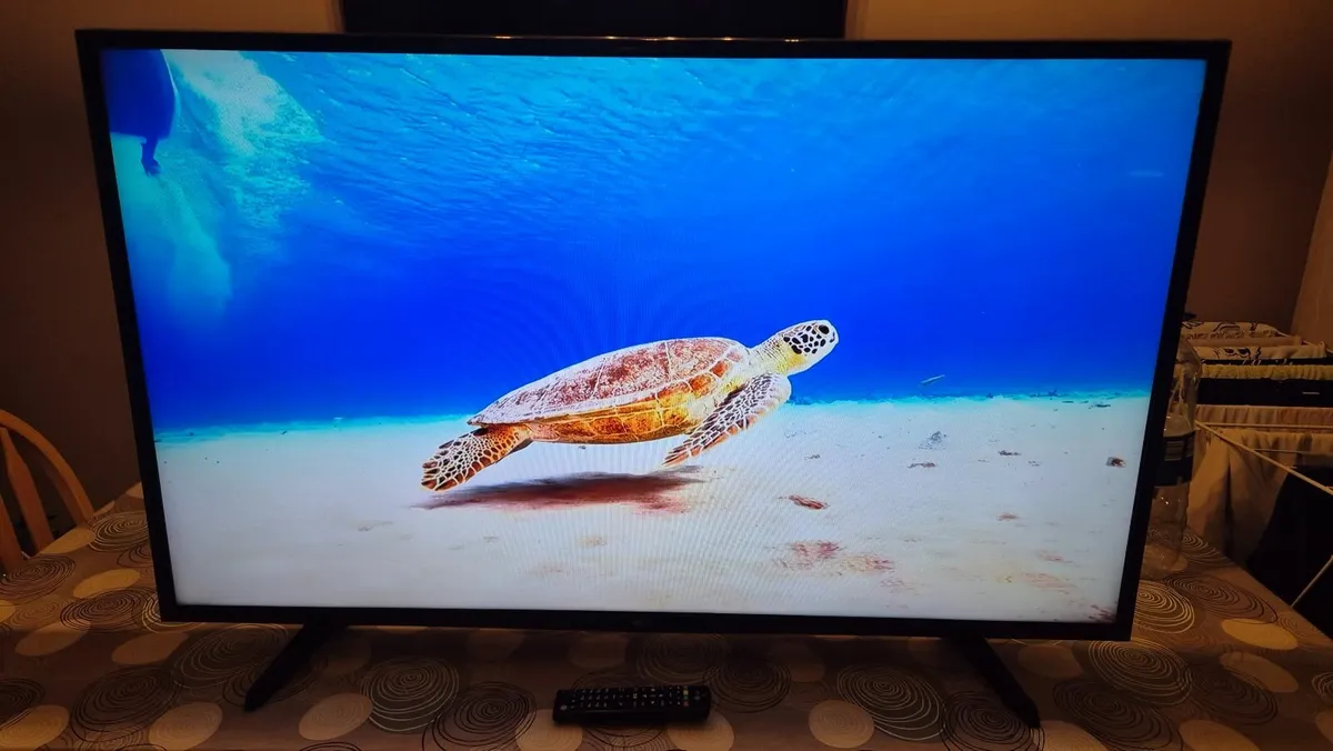 49" LG Smart TV - Image 4