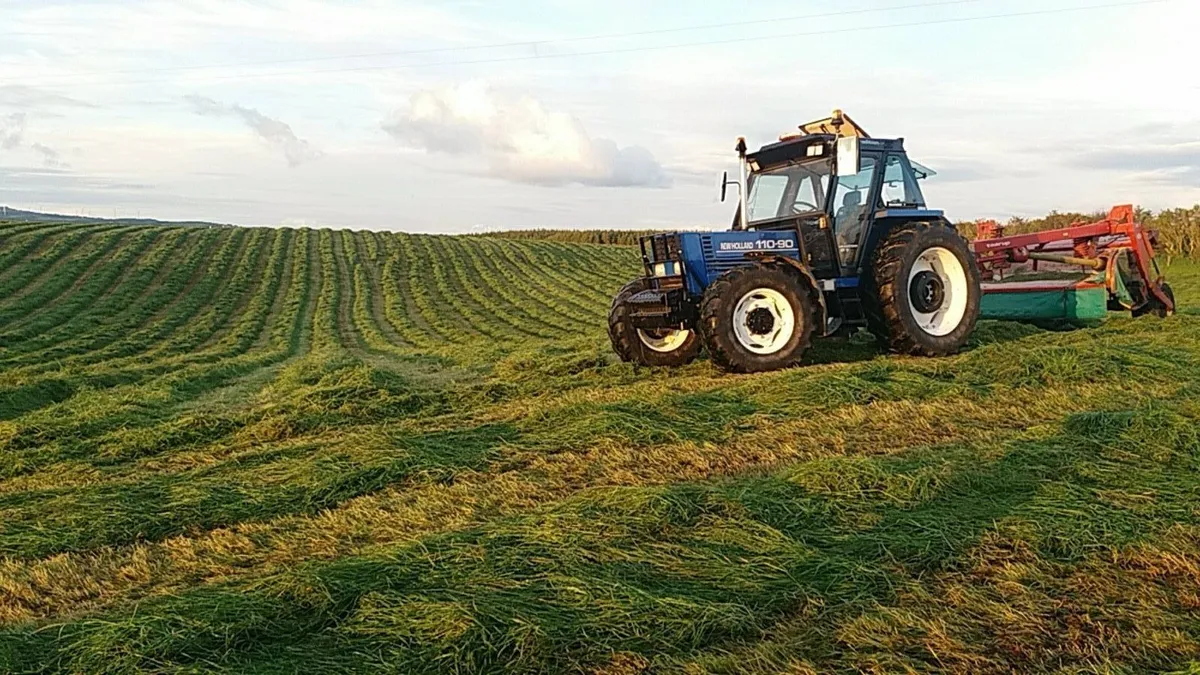 Top quality silage