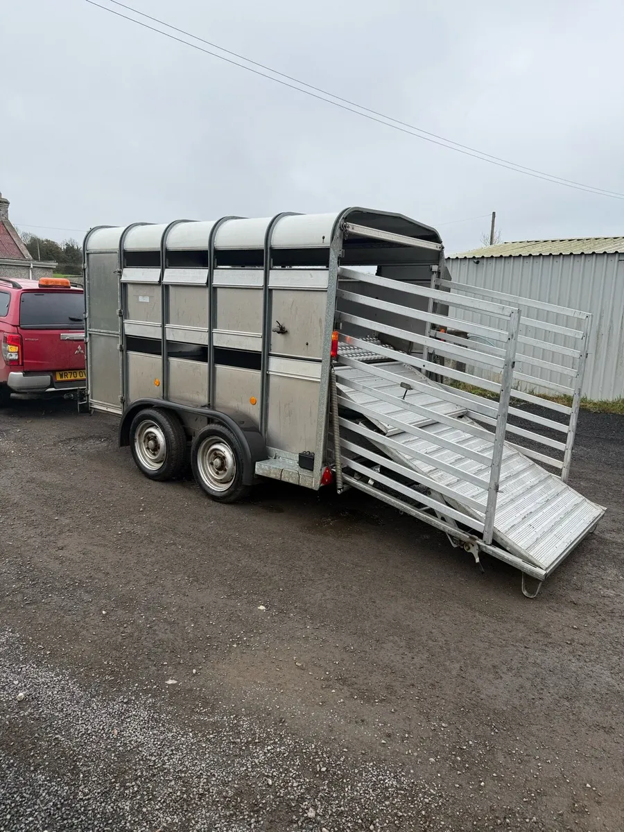 Cattle trailer - Image 2