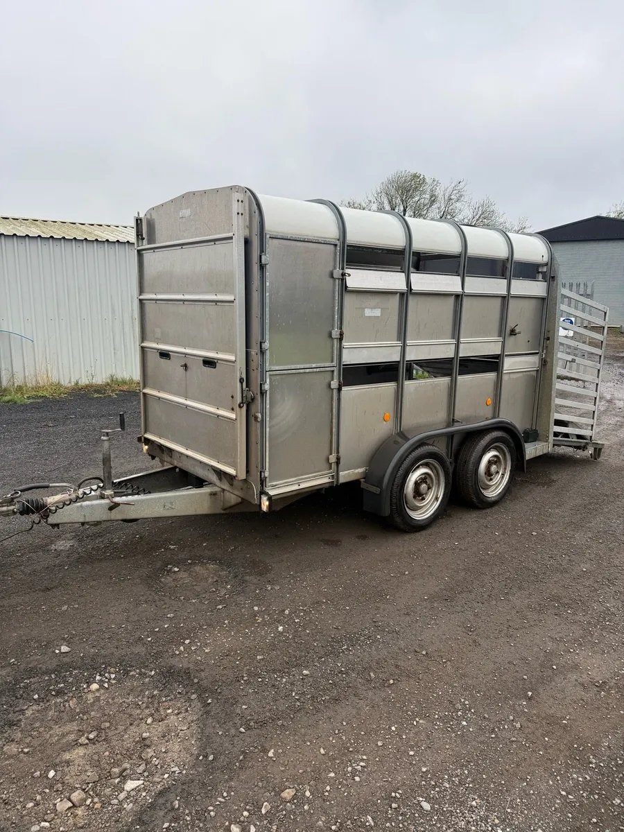 Cattle trailer - Image 3