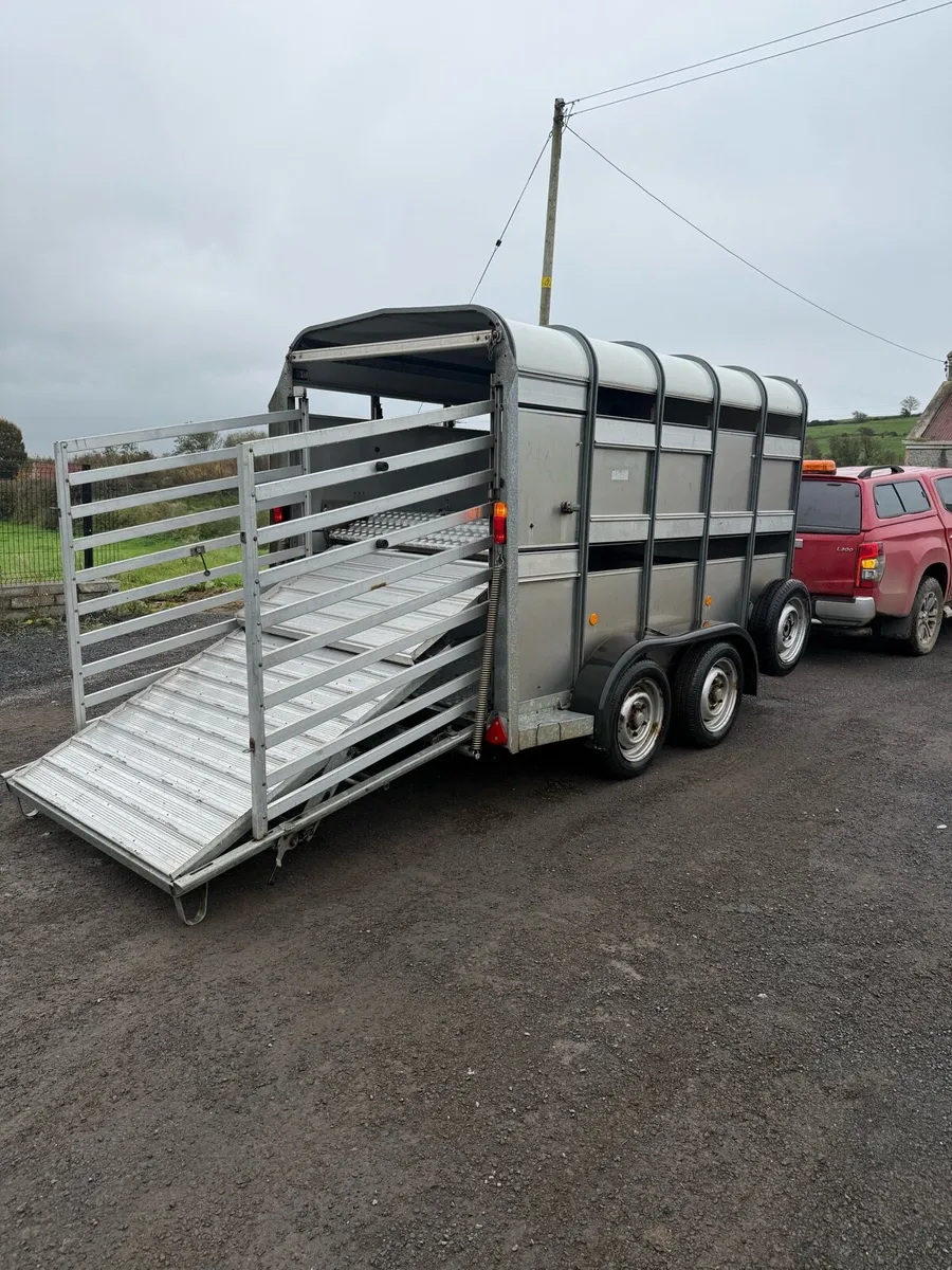 Cattle trailer - Image 4