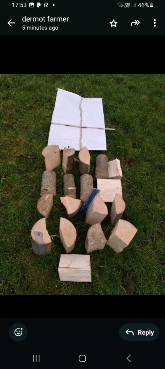 Fire wood for sale - Image 2