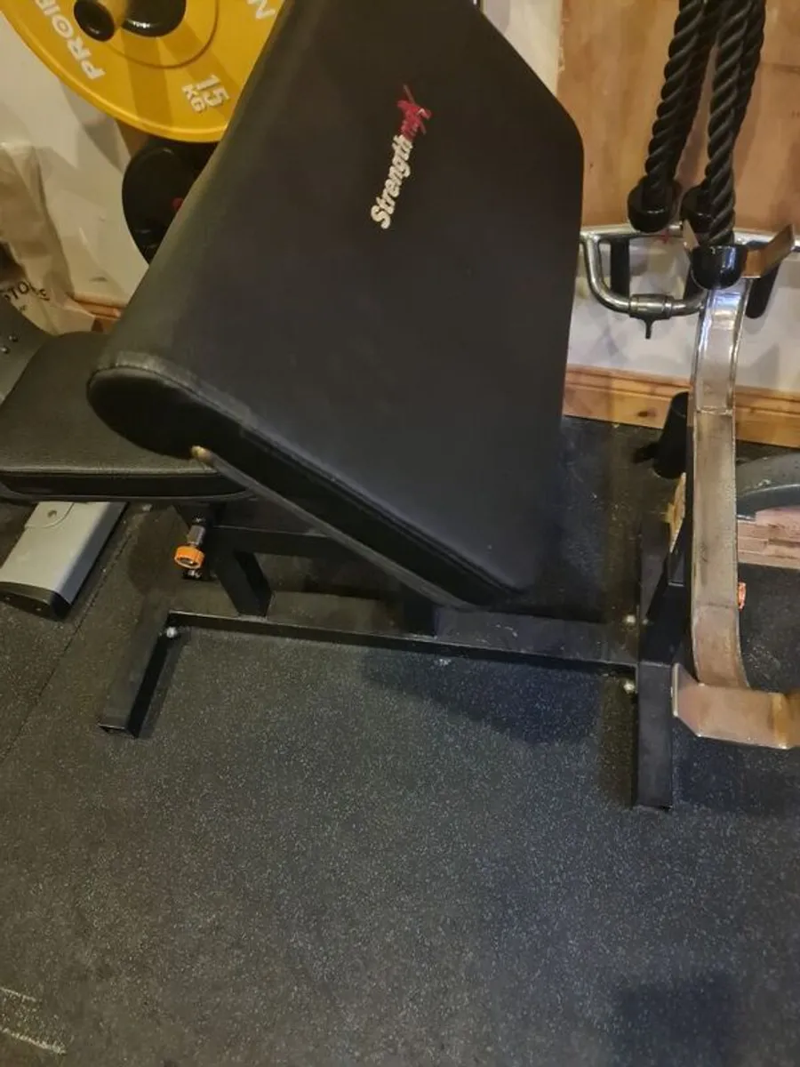 weight - Image 3