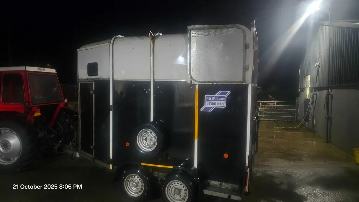 Horse box - Image 3