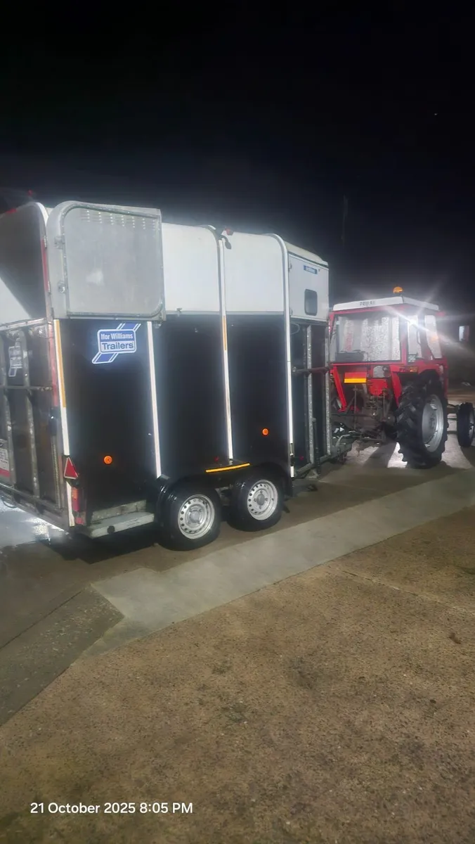 Horse box - Image 4