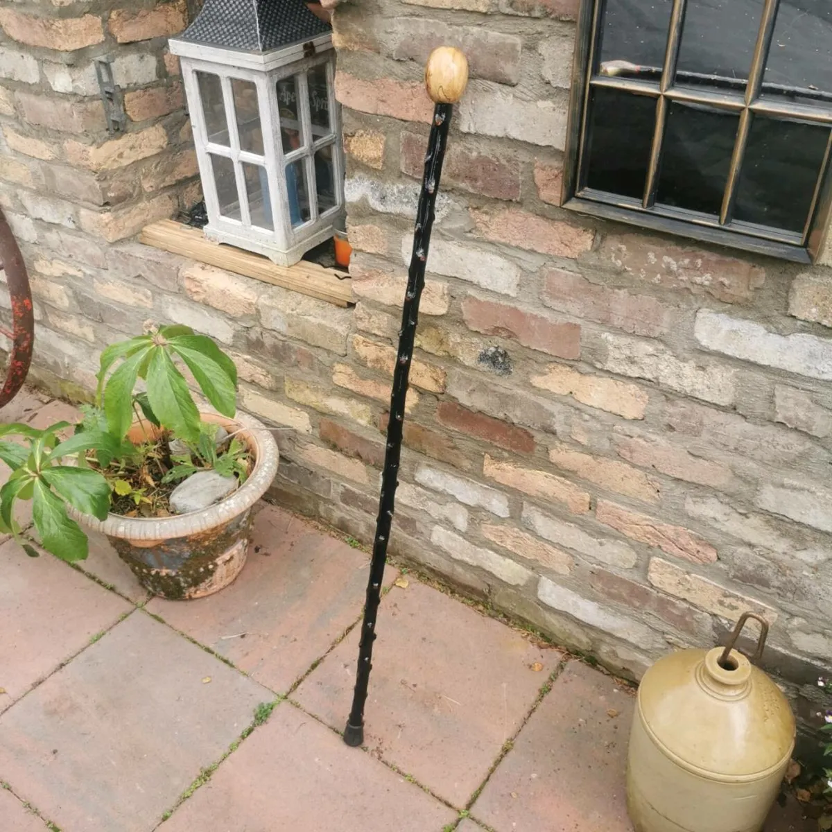 Blackthorn Shillelagh - Image 1