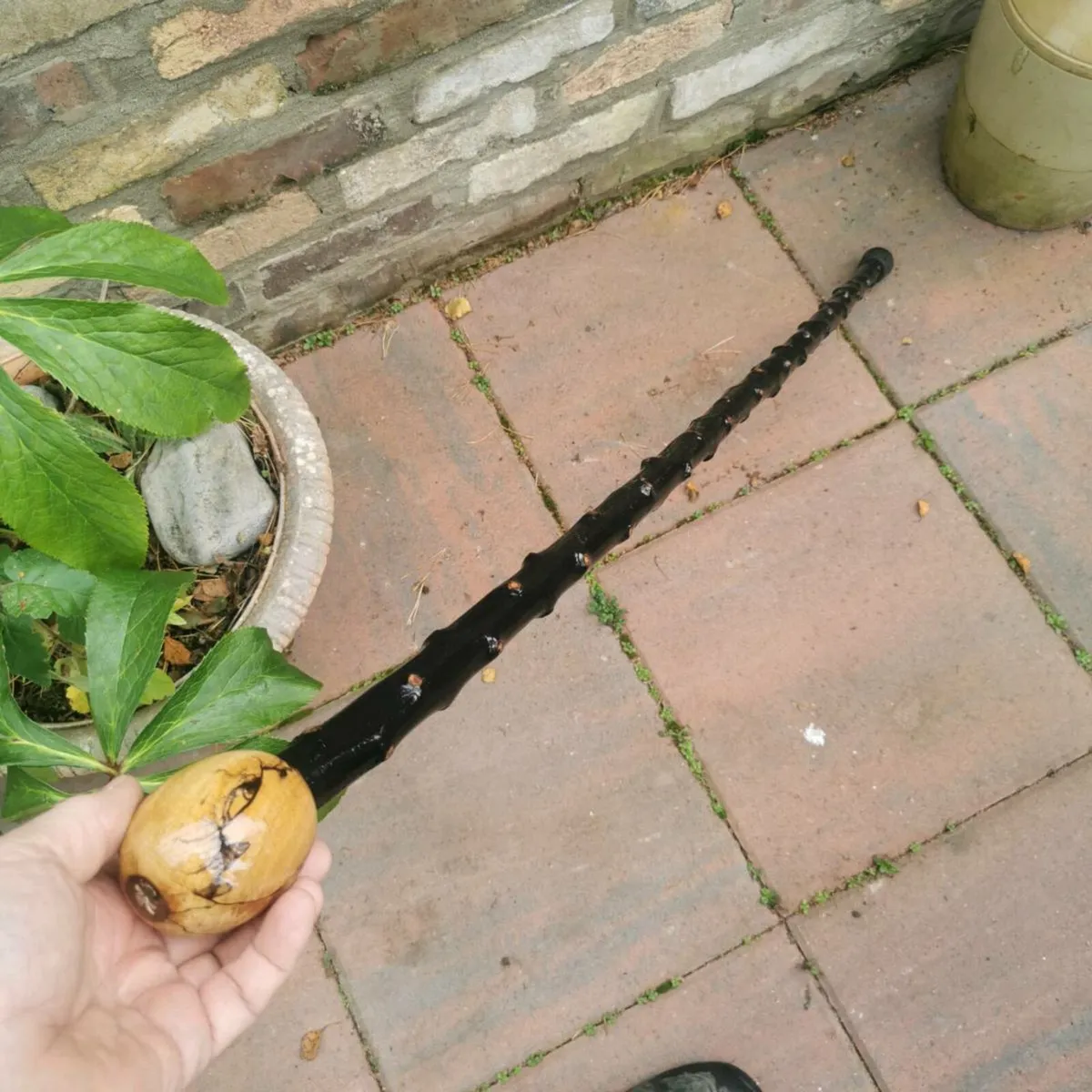 Blackthorn Shillelagh - Image 2