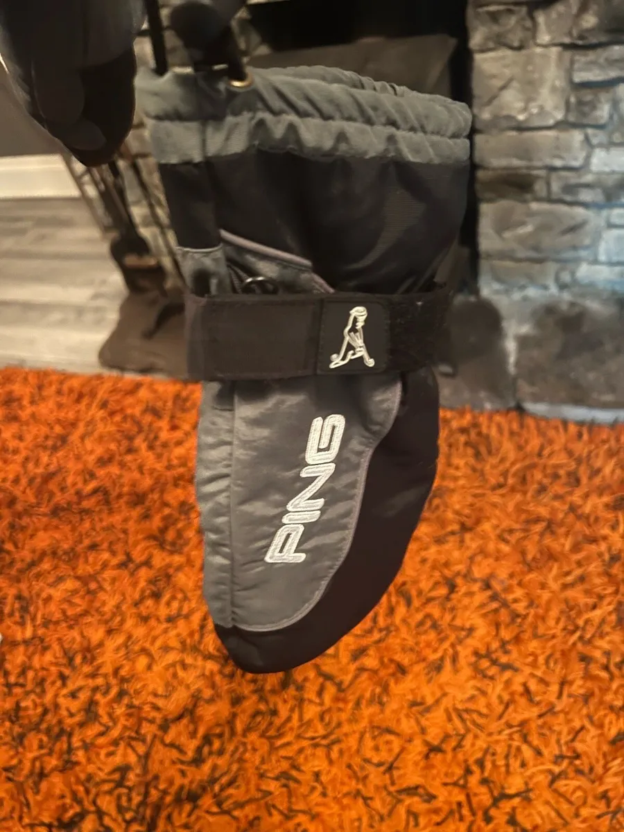 Ping mittens - Image 4