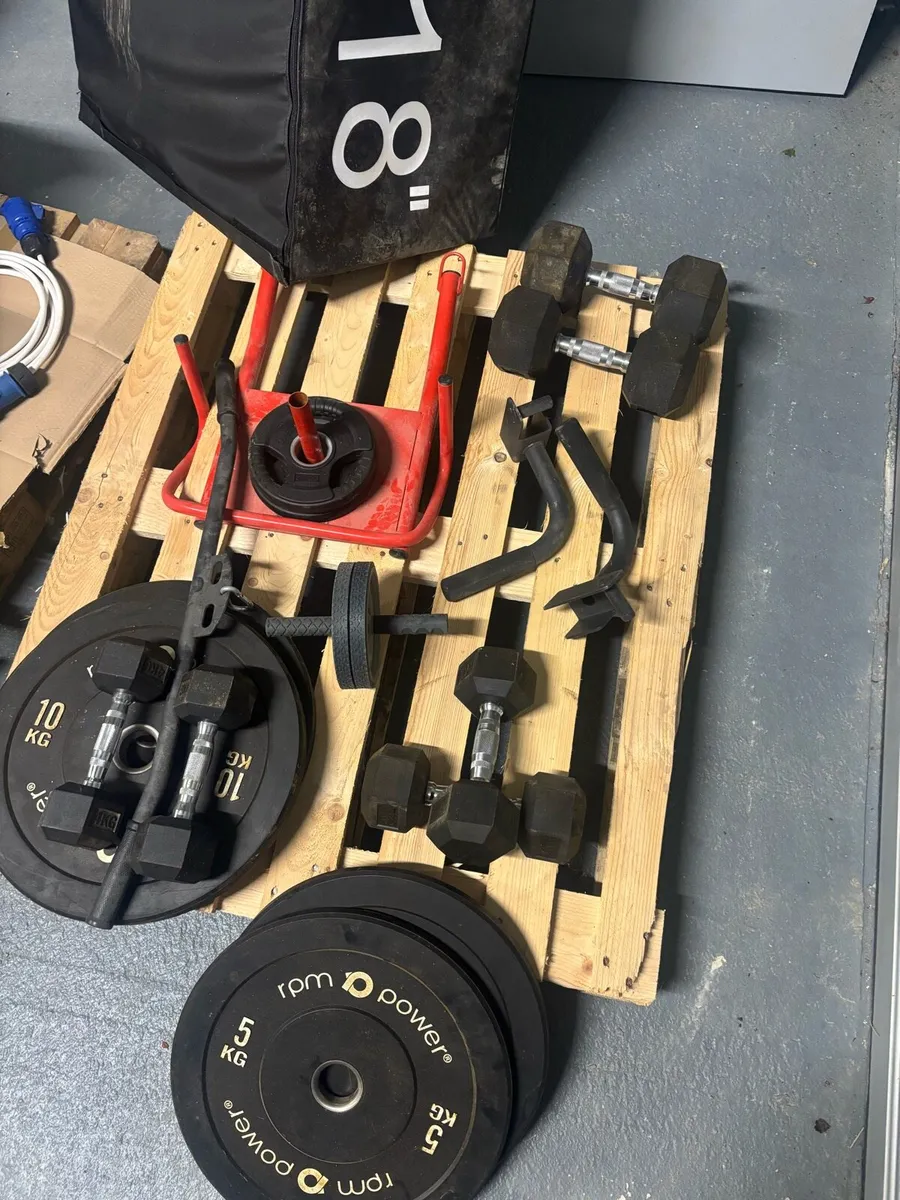 Gym - all new and set up - Image 4