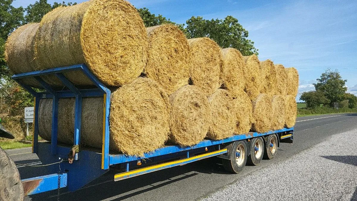 Hay and straw for sale - Image 2