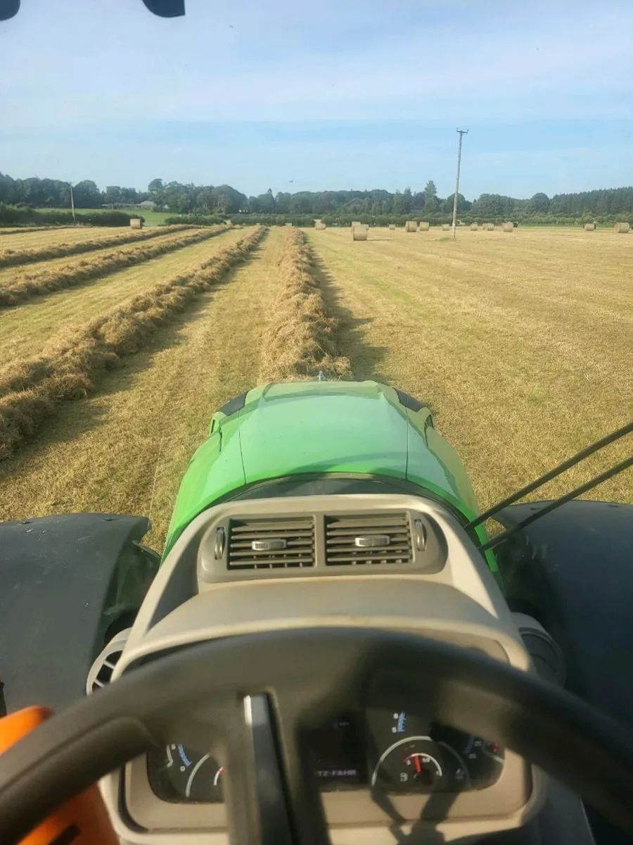 Hay and straw for sale - Image 3